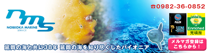 延岡の海と共に32年。延岡の海を知り尽くしたパイオニア