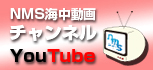 延岡マリンサービスYouTubeチャンネル