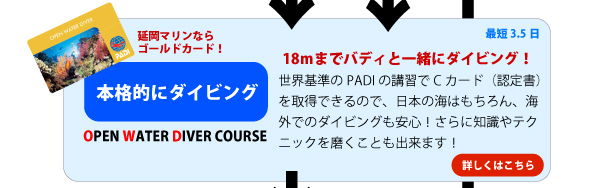 オープンウォーターダイバー