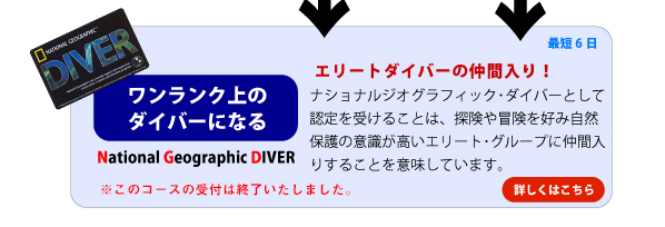 ナショナルジオグラフィックダイバー