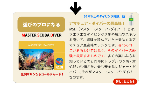 MSD　マスタースクーバダイバー
