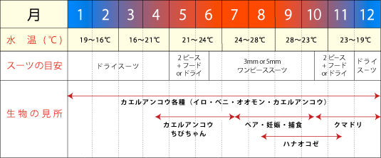 カエルアンコウ　シーズナリティ